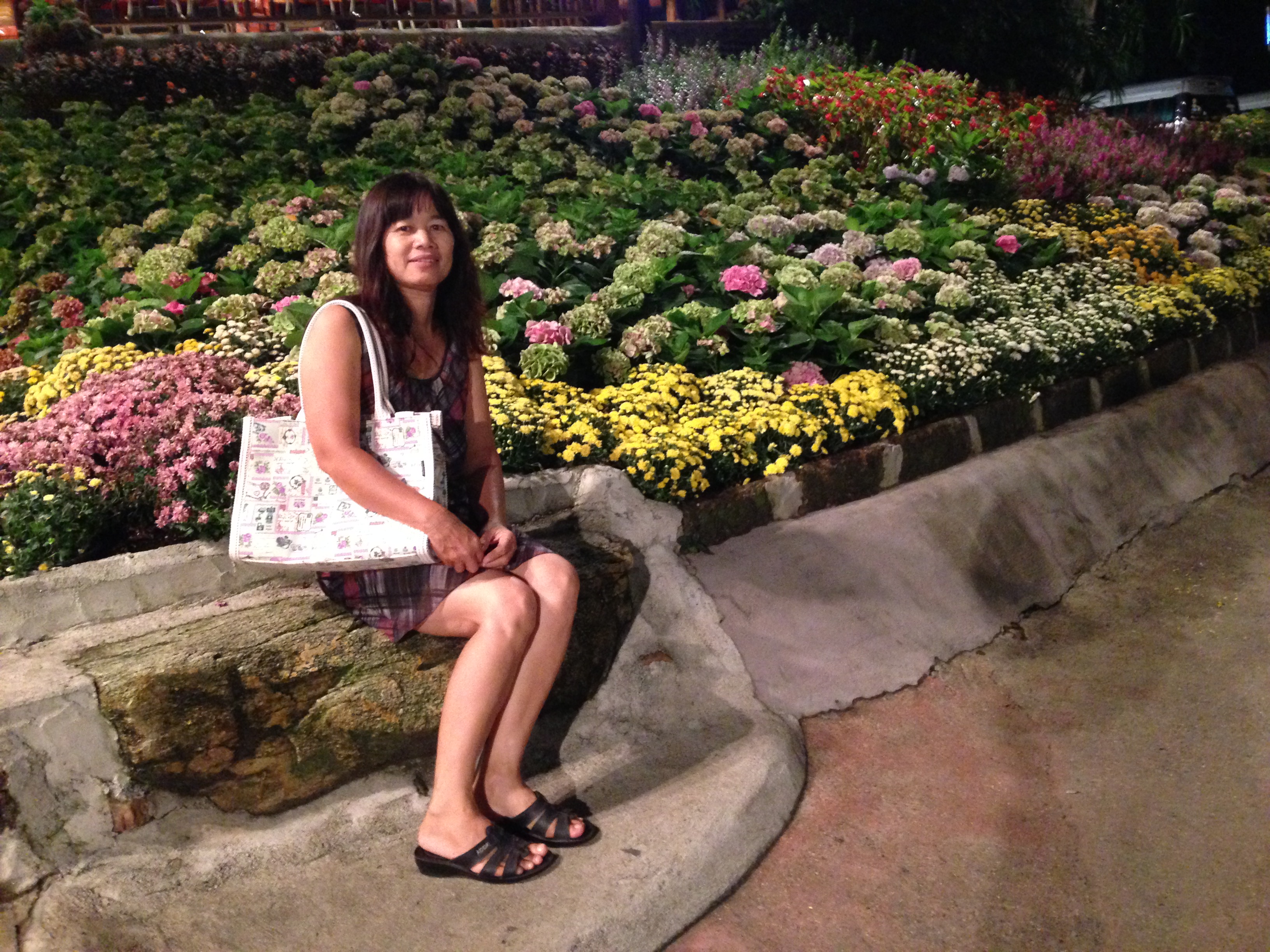 เที่ยวเมืองเชียงใหม่ 2558